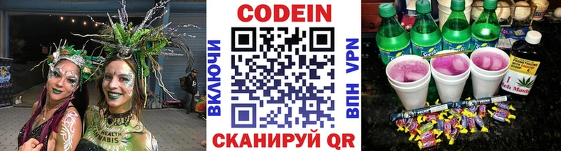 Купить закладки  Новомичуринск  Кодеиновый сироп Lean Purple Drank 