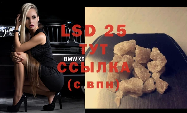 индика Кинешма