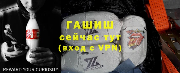 индика Кинешма