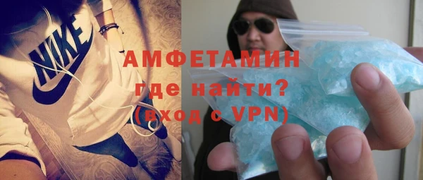индика Кинешма