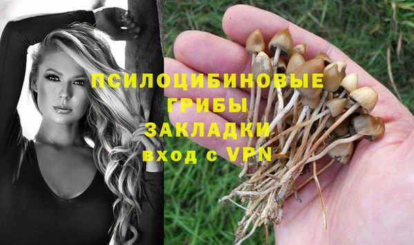 индика Кинешма