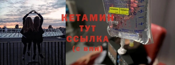 индика Кинешма