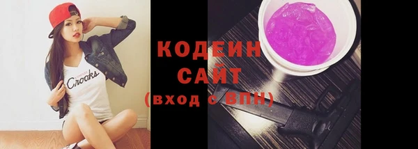 индика Кинешма