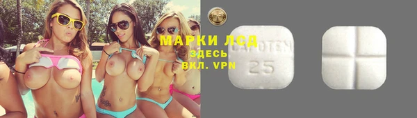 индика Кинешма