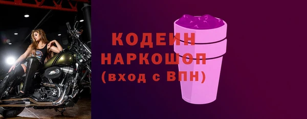 индика Кинешма