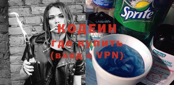 индика Кинешма