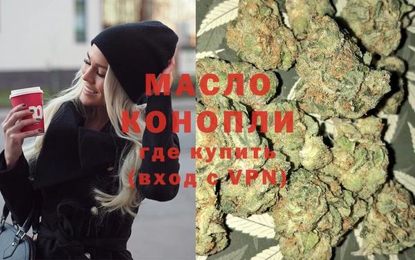 индика Кинешма