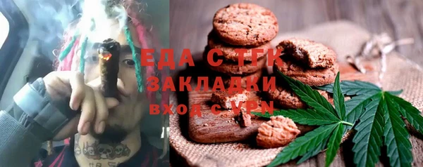 индика Кинешма