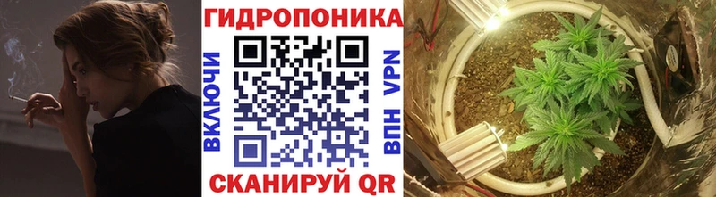 Шишки марихуана AK-47  Купить где  Новомичуринск 